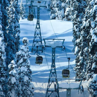 Snow-covered Gulmarg Gondola ride through pine forests in Kashmir during winter